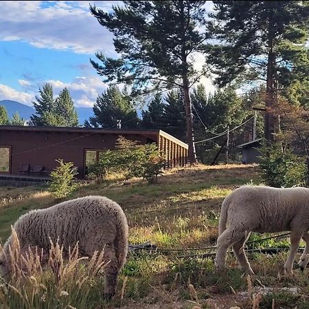 Turismo Y Cabanas Dragon De La Patagonia Daire Cochrane Dış mekan fotoğraf